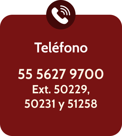 Vía Telefónica